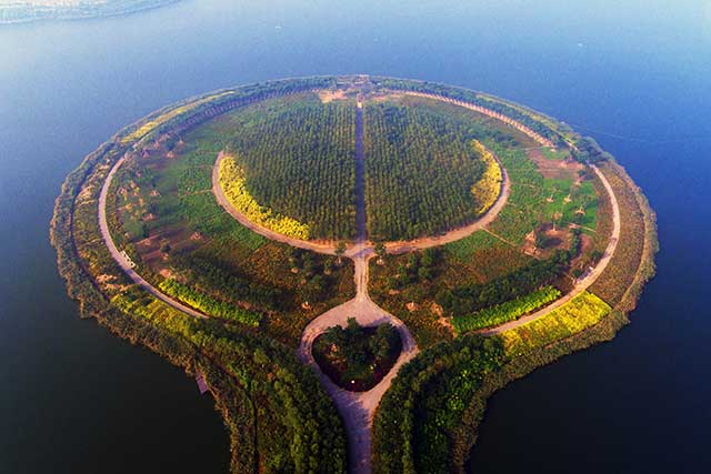 6-中新天津生态城绿化养护项目.jpg 6-中新天津生态城绿化养护项目.jpg