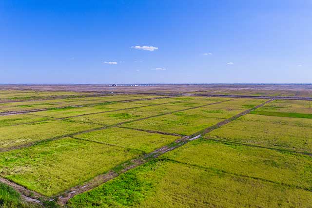 5-镇赉盐碱地改造项目.jpg 5-镇赉盐碱地改造项目.jpg