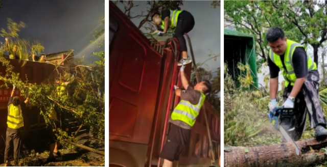 网站4.png 网站4.png