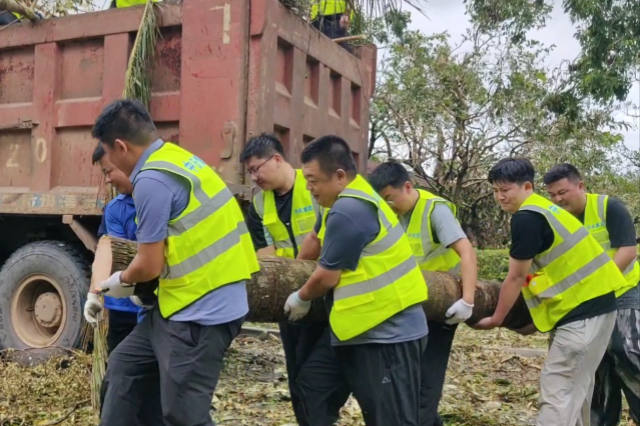 网站2.png 网站2.png